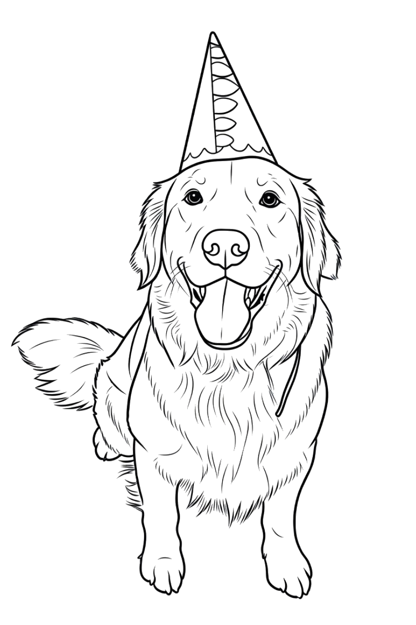 Golden Retriever